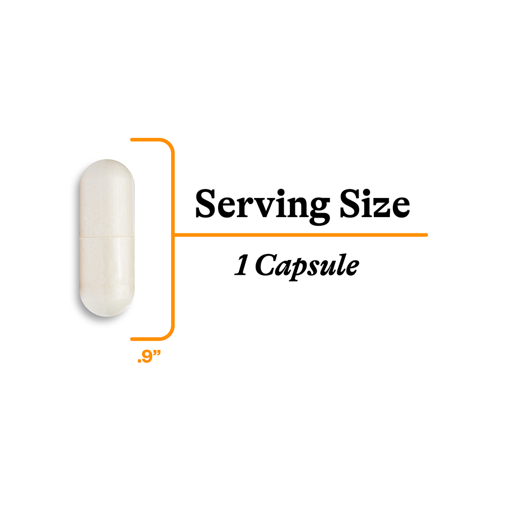 Acetyl-L-Carnitine | Fresh Daily Favorite