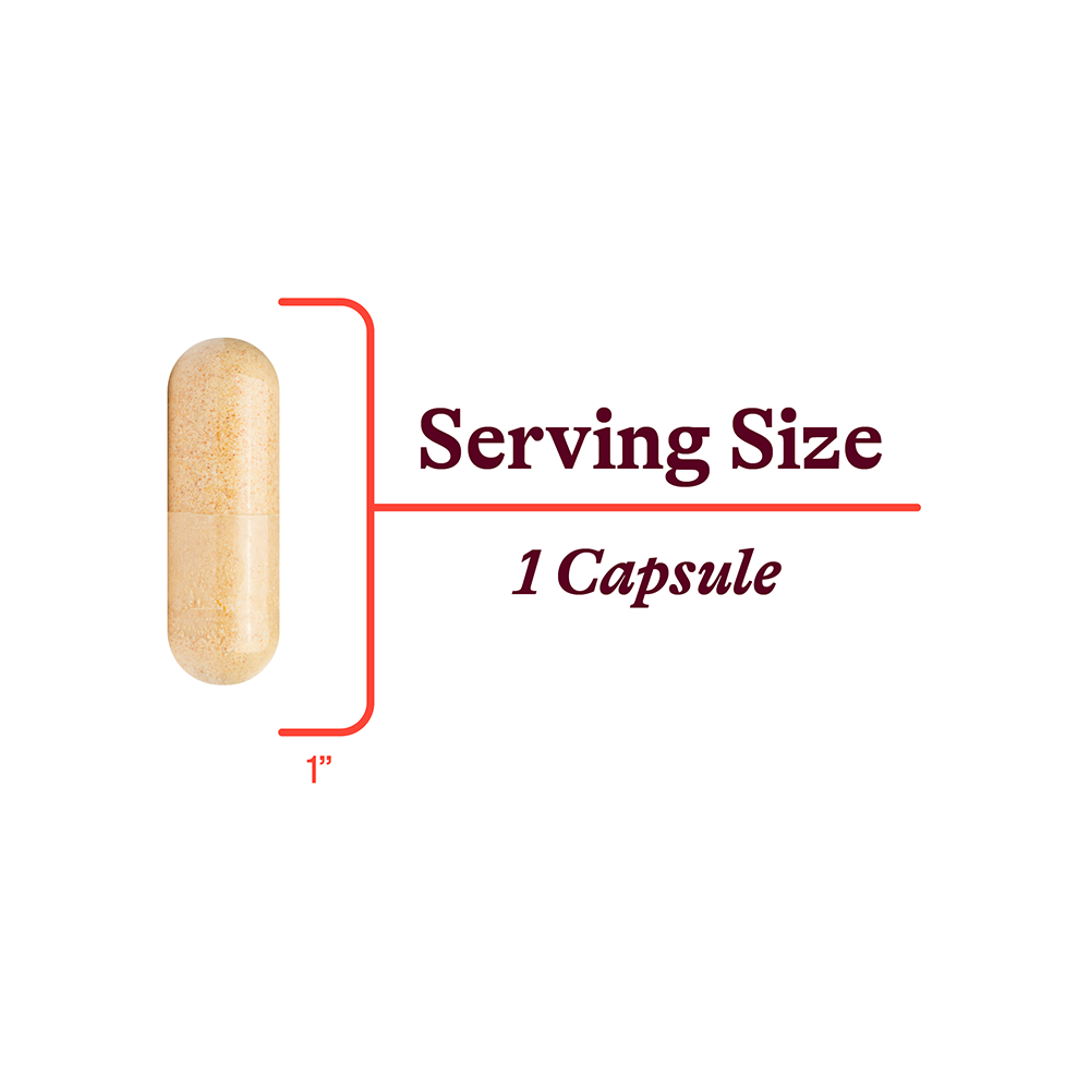 B Complex Plus | Fresh Daily Favorite