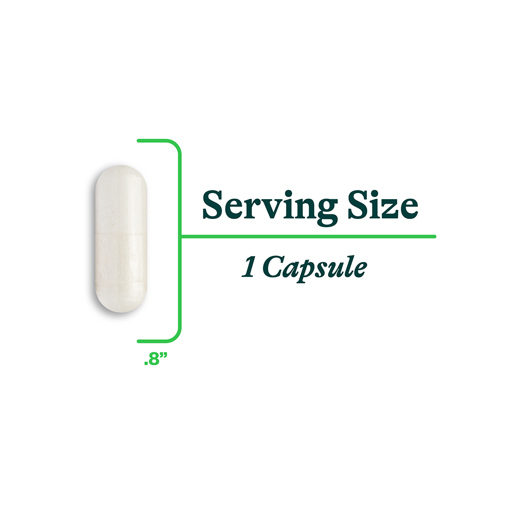 Calcium D-Glucarate | Fresh Daily Favorite