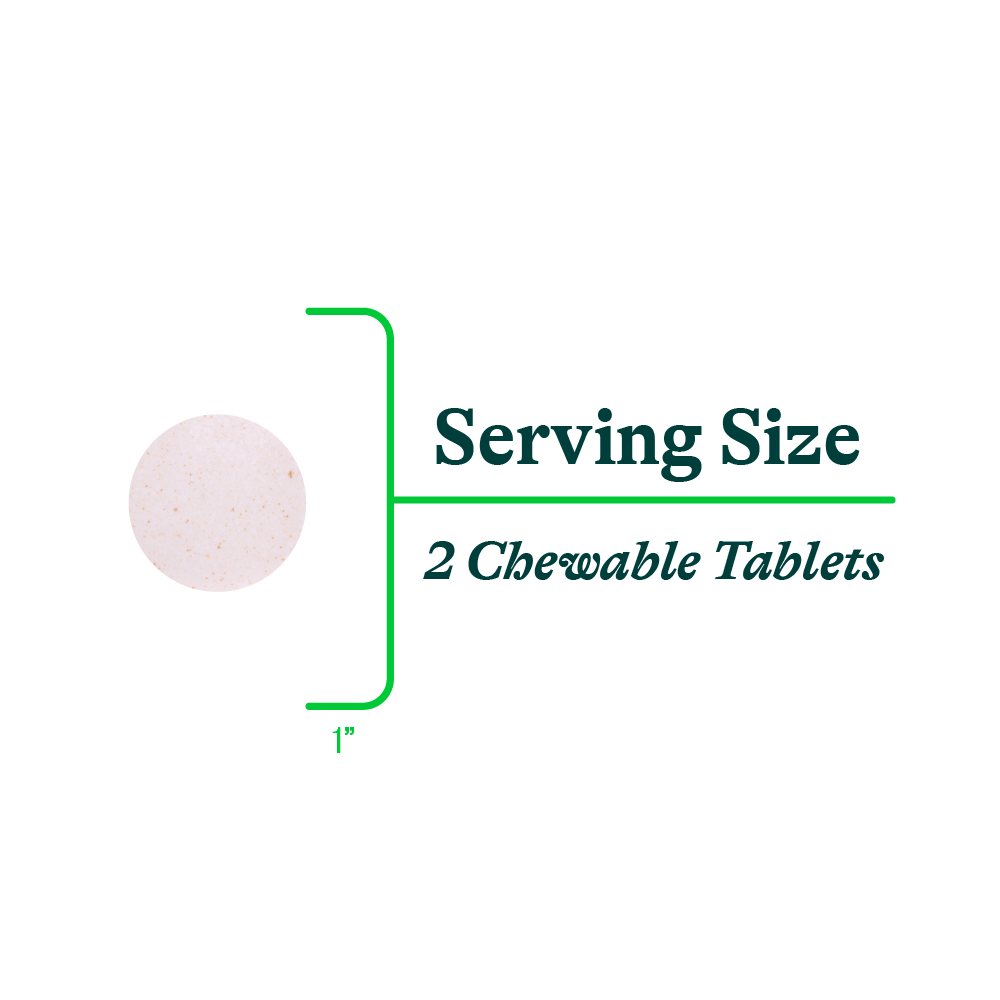 Digestive Enzymes Chewable | Fresh Daily Favorite