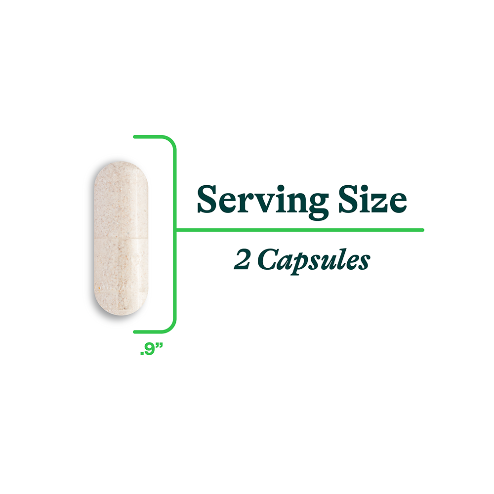 Digestive Enzymes | Fresh Daily Favorite