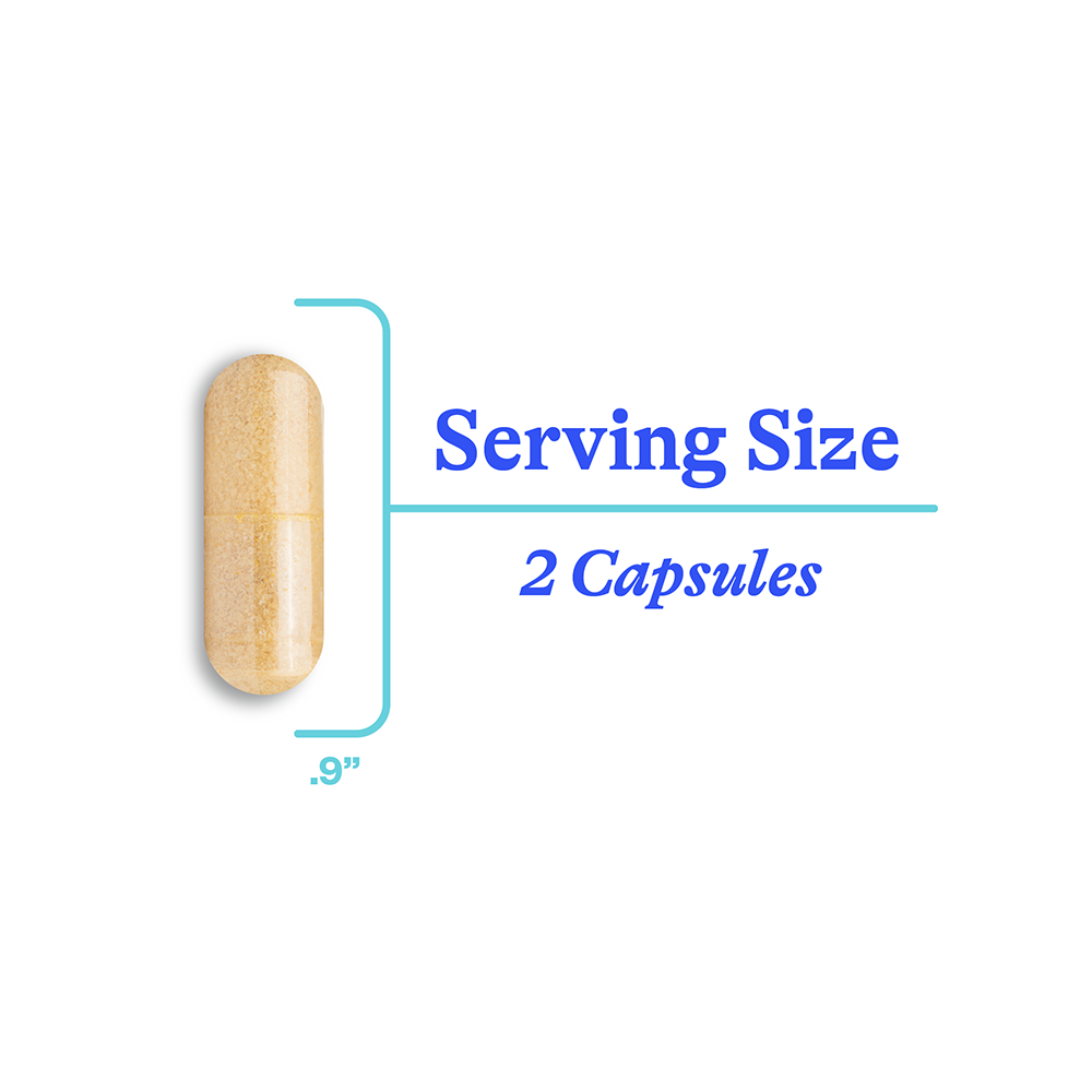 Dopamine Nutrients | Fresh Daily Favorite