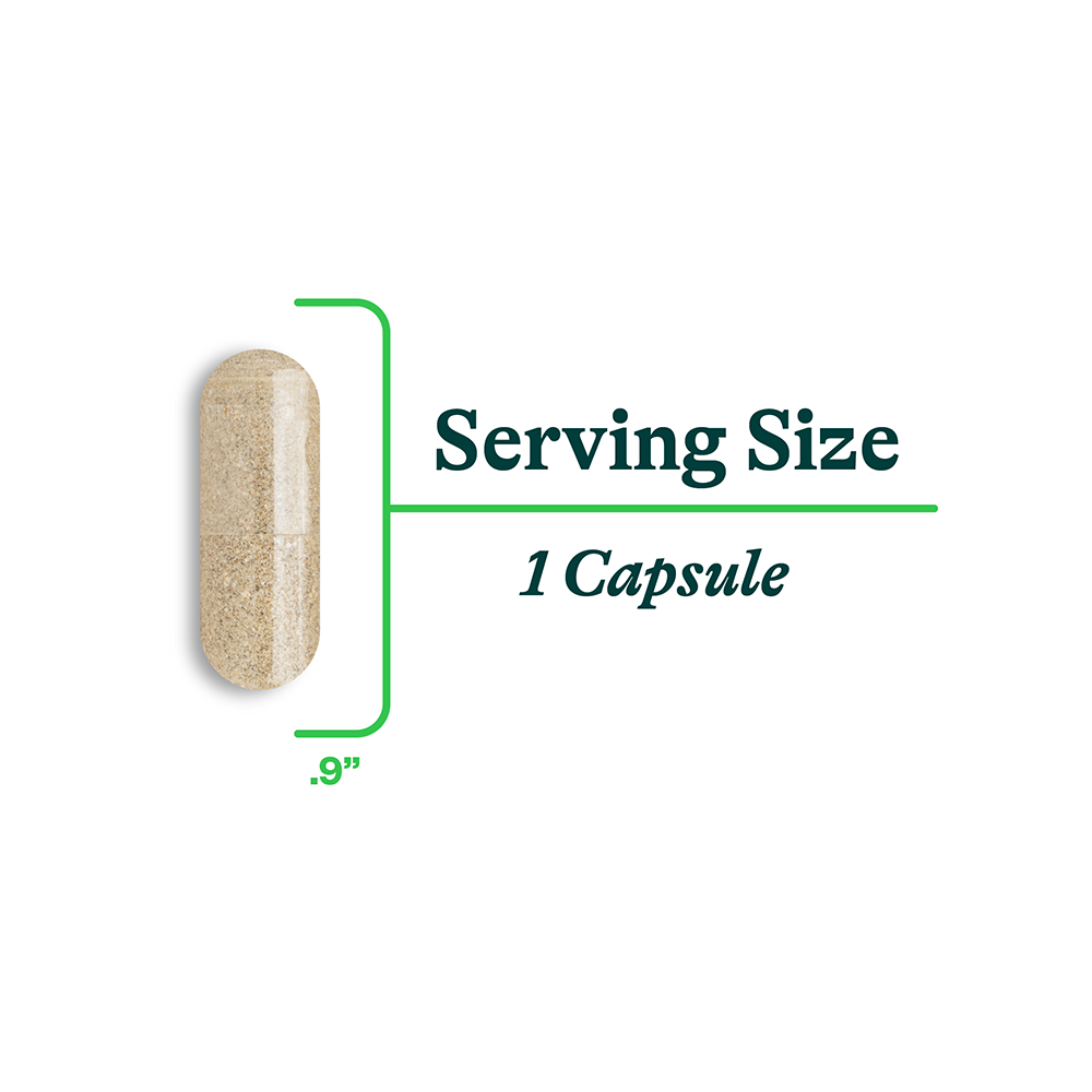 Bile Nutrients | Fresh Daily Favorite