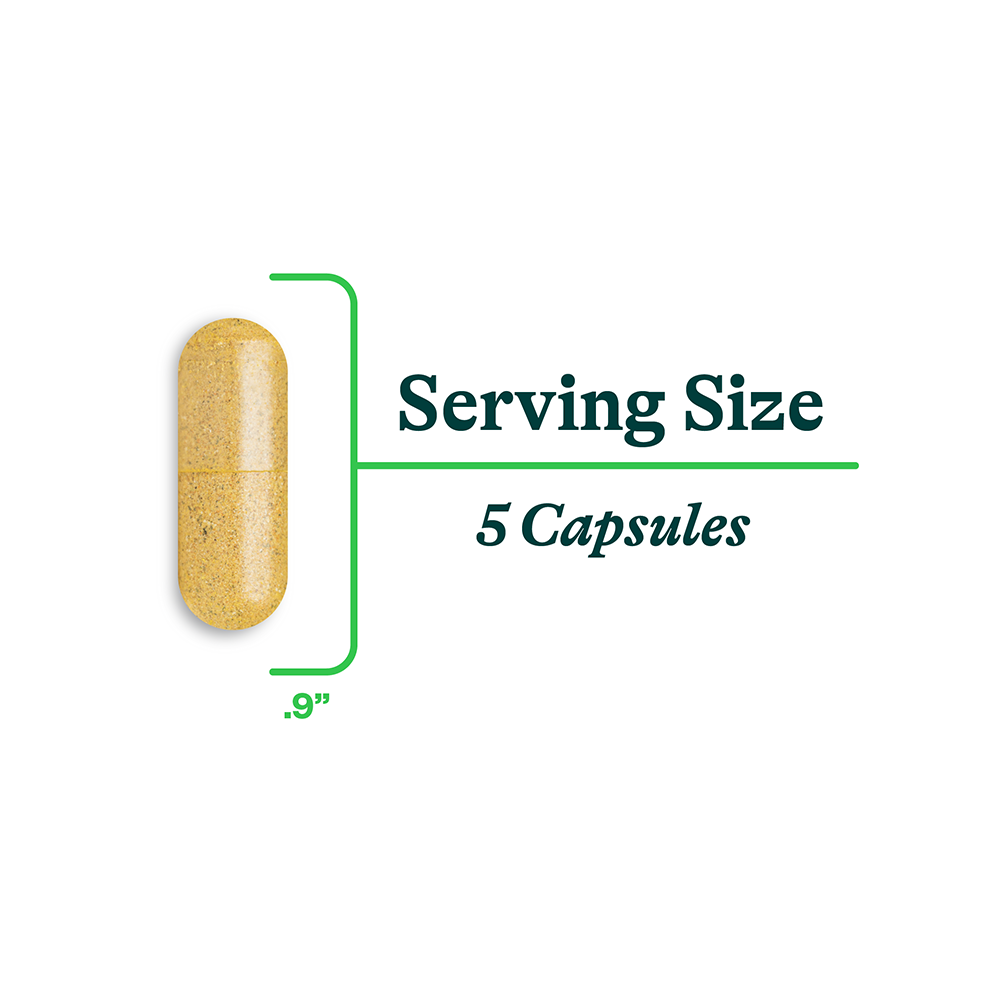 Gut Nutrients | Fresh Daily Favorite