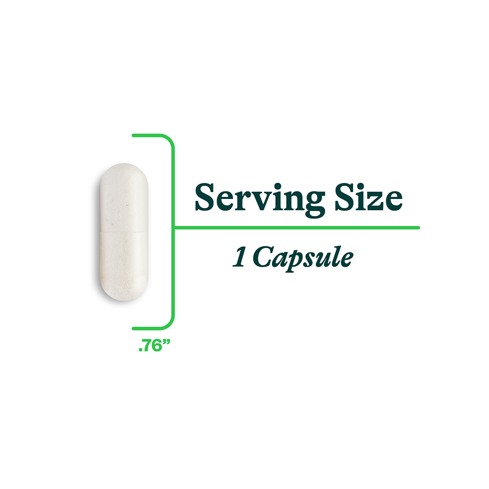 DAO Enzyme | Fresh Daily Favorite