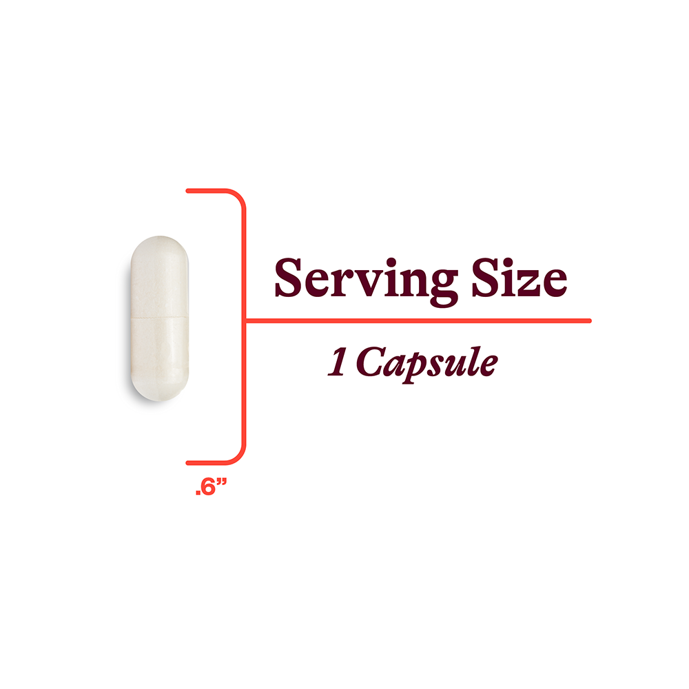 L-Methylfolate | Fresh Daily Favorite