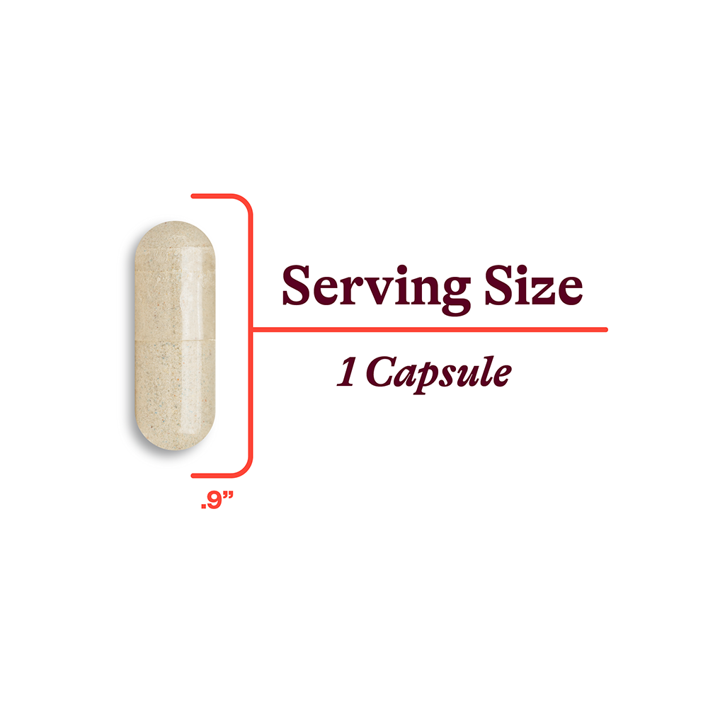 Multivitamin One MF | Clean Nutrition Support