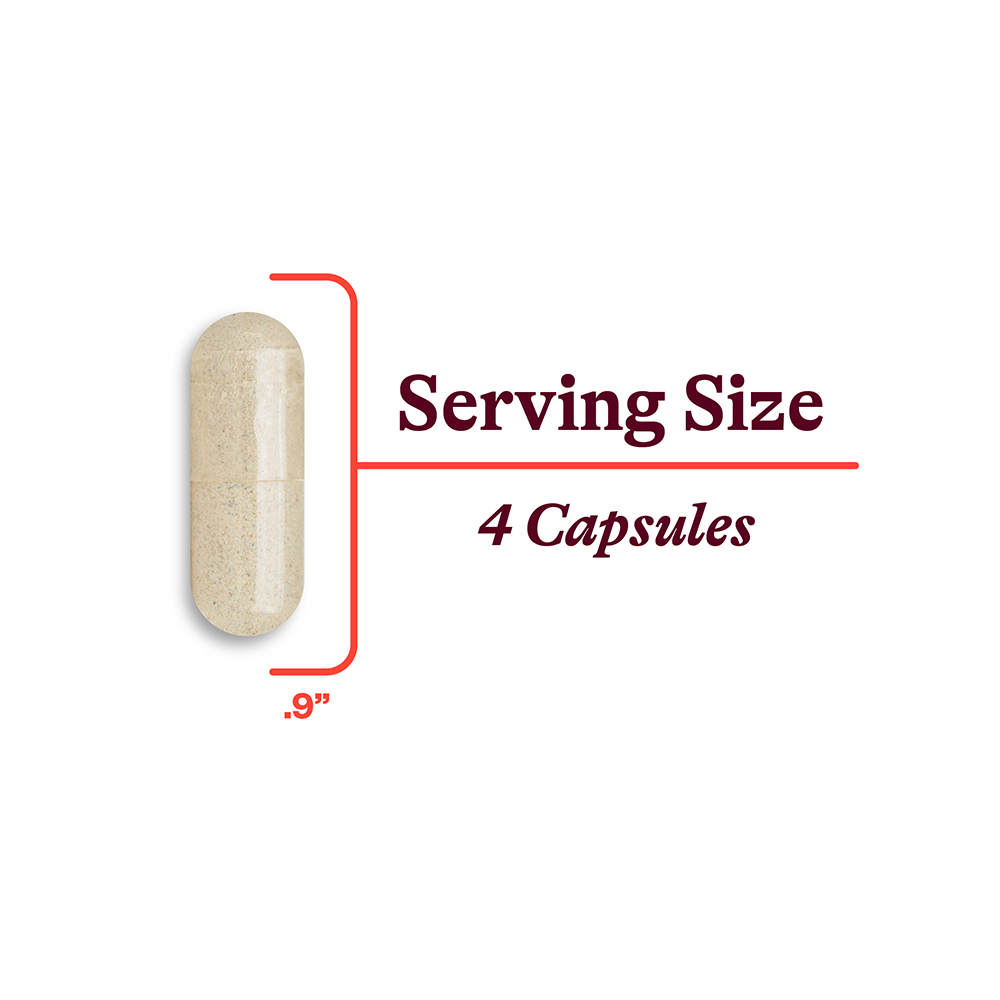 Multivitamin One Sensitive | Clean Nutrition Support