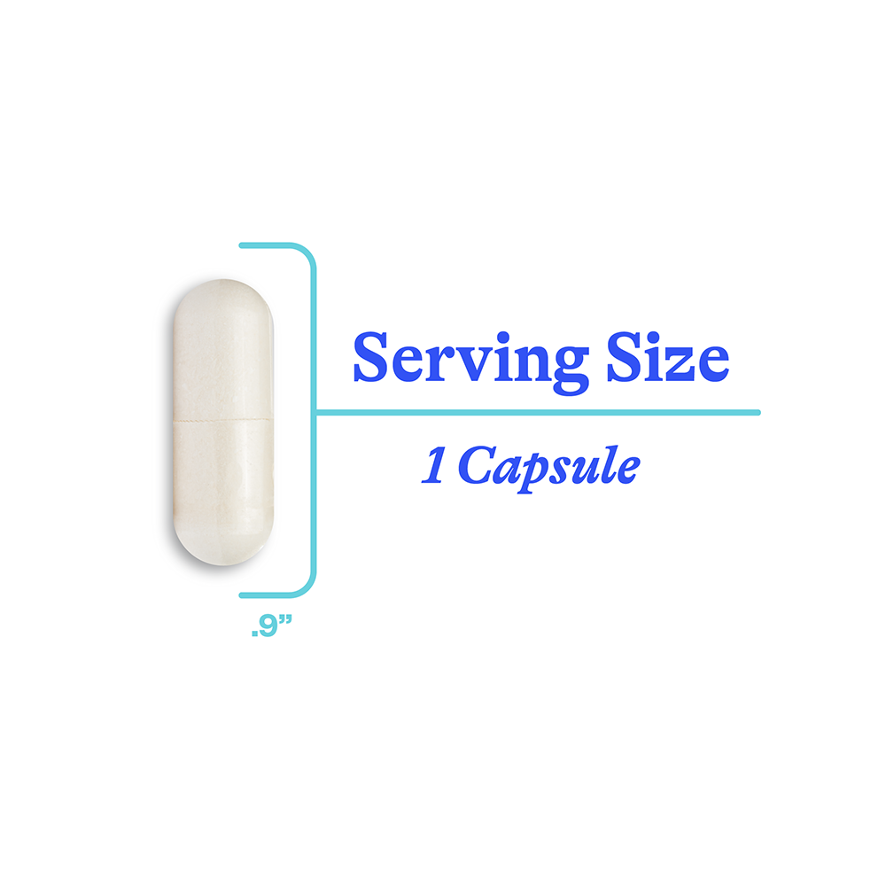 NAC Supplement (N-Acetyl-L-Cysteine) | Clean Nutrition Support