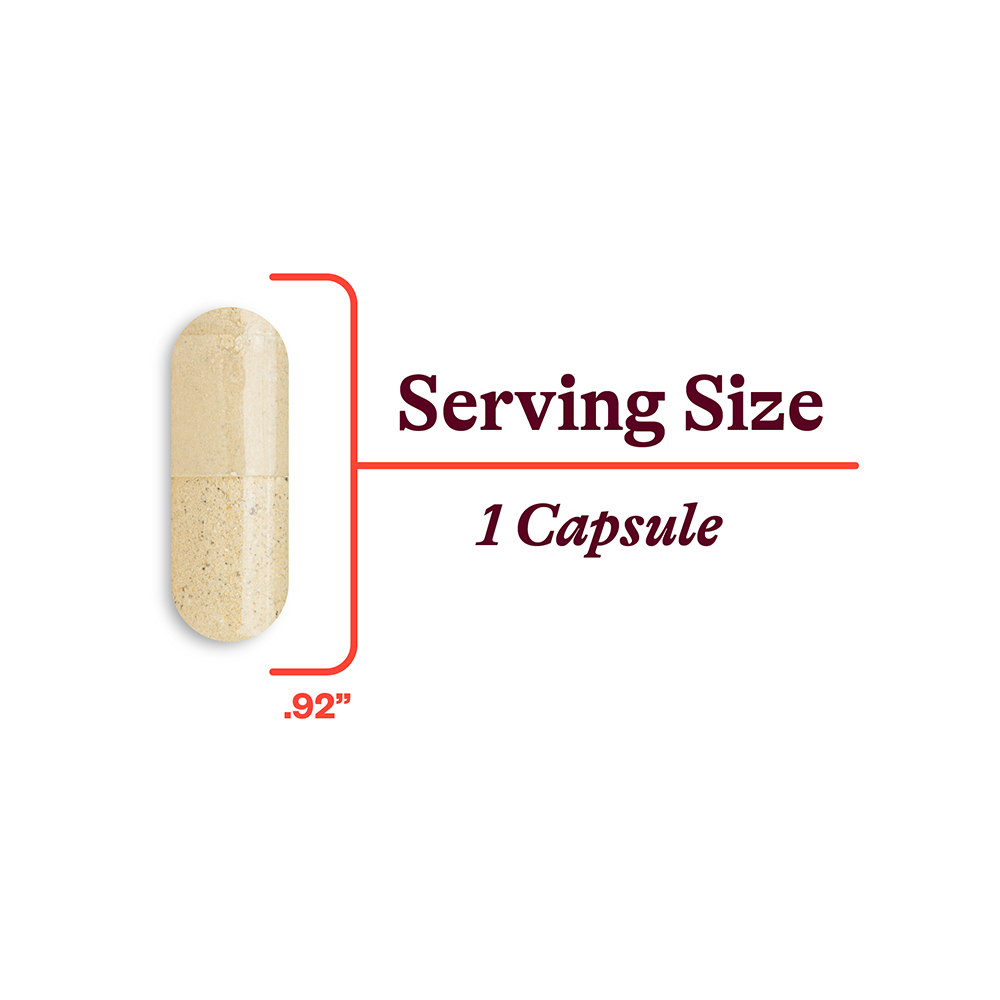 Multivitamin One | Clean Nutrition Support