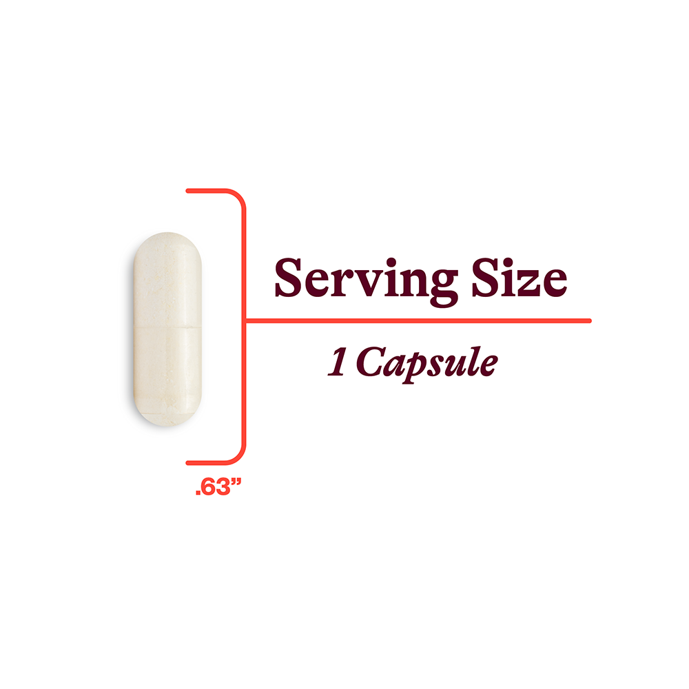 P-5-P (Pyridoxal 5-Phosphate) | Fresh Daily Favorite