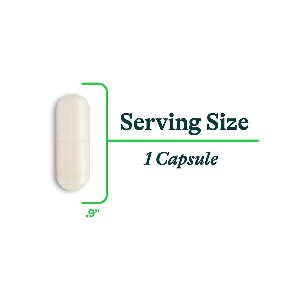 ProBiota™ HistaminX™ | Fresh Daily Favorite