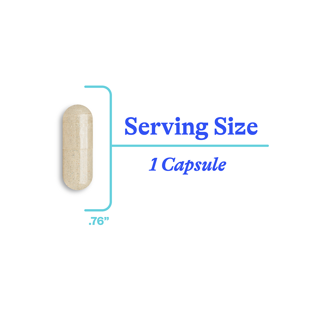 Phosphatidyl Serine | Fresh Daily Favorite