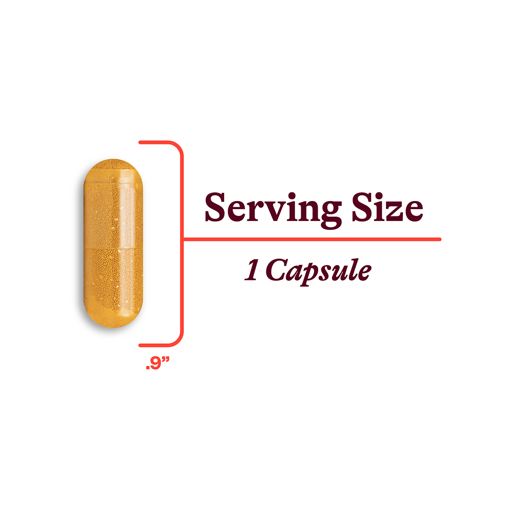 Riboflavin | Fresh Daily Favorite