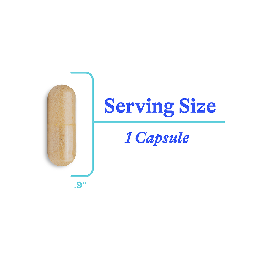 Serotonin Nutrients | Fresh Daily Favorite
