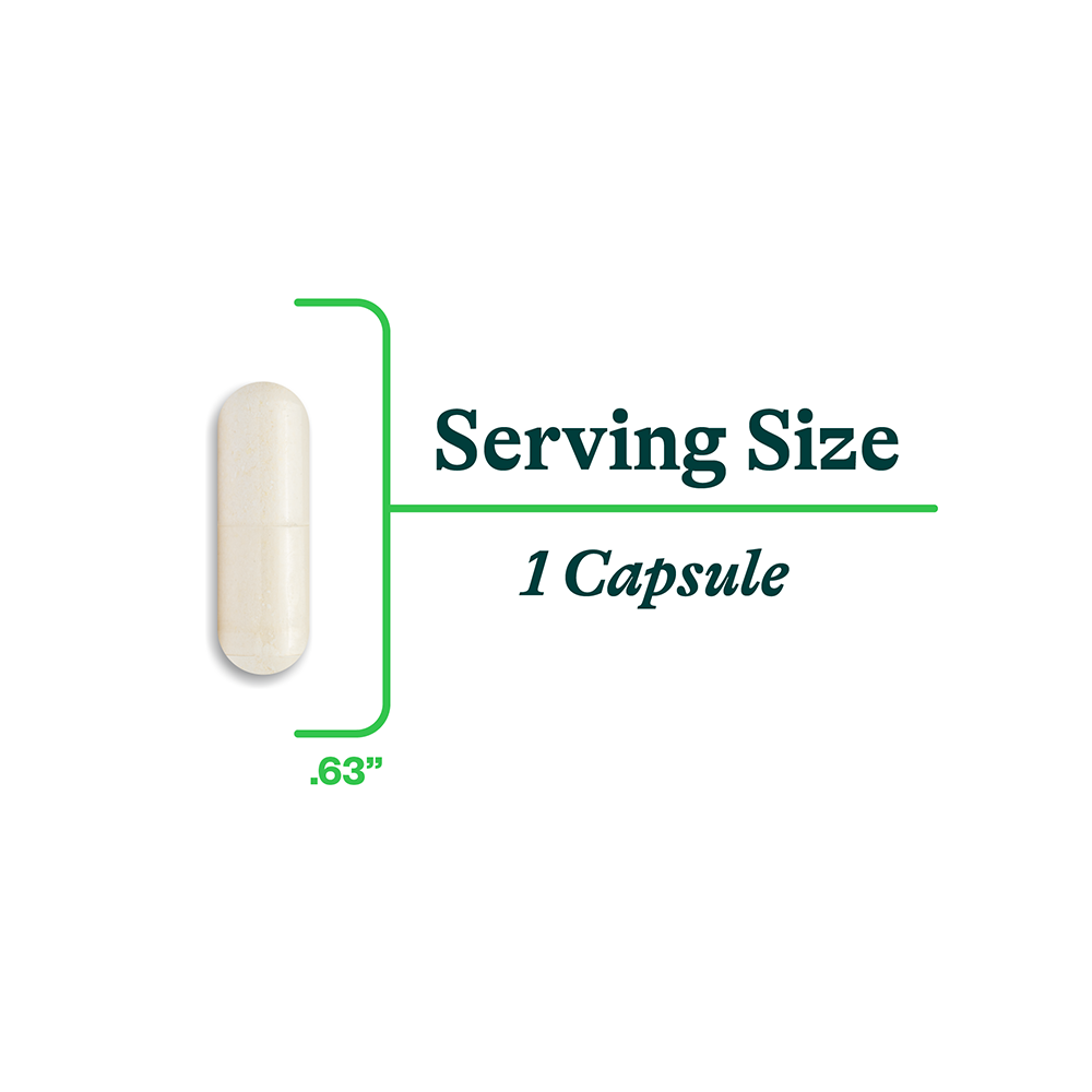 Zinc Carnosine | Fresh Daily Favorite